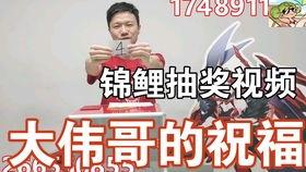 鸟哥爆料锦鲤视频,鸟哥独家爆料背后的故事 第3张 鸟哥爆料锦鲤视频,鸟哥独家爆料背后的故事 第3张